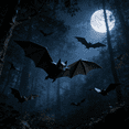 thumbnail image 7 of HIBIBUD 2026 New 3D Bat Design Led Decoration,3D Bats Halloween Wall Decor with 10 Forms&5 Sizes,Lighted Stickers Halloween Decorations Bats Light,Hanging Wall Luminous Glow Clings for Home,24Pcs, 7 of 7