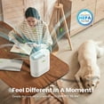 thumbnail image 6 of RENPHO True HEPA Air Purifier for Allergies & Asthma, White, 6 of 11