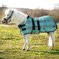 thumbnail image 3 of Kensington Miniature Horse Protective Fly Sheet (No Fill), Imperial Jade, Size: 42, 3 of 4