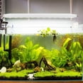 thumbnail image 1 of Fish  Lamp, Lightweight Fish  Light, Lighting Temporary Lamp For Aquarium, 1 of 8