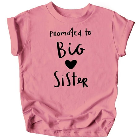 

Olive Loves Apple Promoted to Big Sister Heart Colorful Sibling Reveal Announcement T-Shirt for Baby and Toddler Girls Sibling Outfits Mauve Shirt