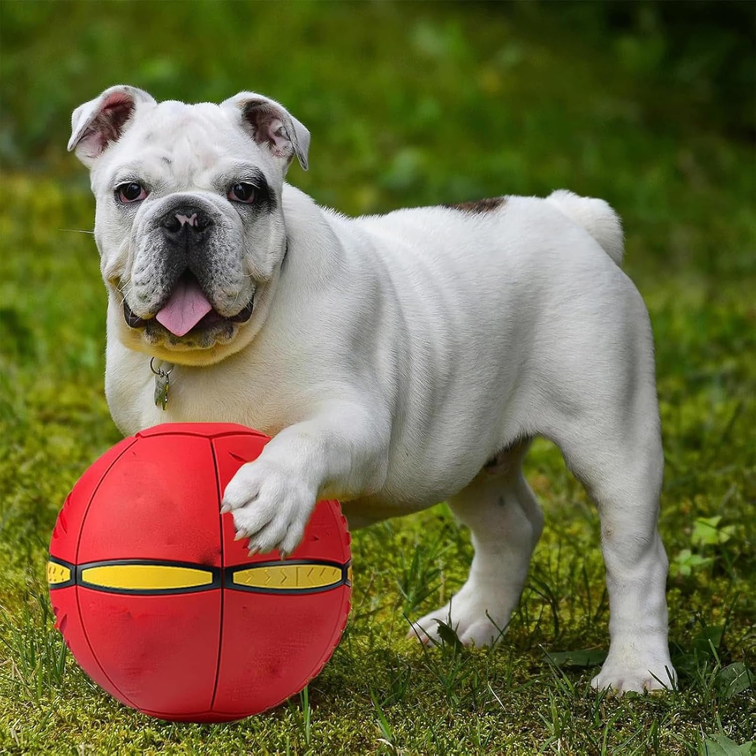 The Doggy Disc Ball,  Dog Toy, Doggie Disc Ball for Small Medium Large Dogs, Doggie Disk Ball with Lights, Portable Pet Toy Doggie Flying Saucer
