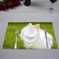 thumbnail image 2 of MKHERT Baby Rabbit Sitting in Grassland Cute Animal Placemats Table Mats for Dining Room Kitchen Table Decoration 12x18 inch,Set of 4, 2 of 4