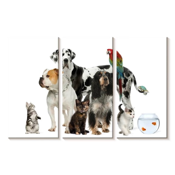 Elephant Stock Group Of House Pets Wall Art - Horizontal Multi Panel Canvas - Living Room Wall Decor - Animal Multi Panel - White And Gray Decor - 23" x 14"