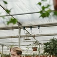 thumbnail image 4 of HAMPPLIES 50Pcs String Hangers for Greenhouse Accessories with S-Shaped Hook Silver, 4 of 8