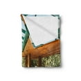 thumbnail image 2 of Modern Soft Flannel Fleece Blanket, Residential House Large Indoor Pool Furniture Sunrays Leisure Time Print, Cozy Plush for Indoor and Outdoor Use, 50" x 70", Green Pale Brown Blue, by Ambesonne, 2 of 5