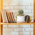 thumbnail image 5 of QYXQPYO Sale Faux Ceramic Plastic Flower Pots for Succulents – Stylish Lightweight Planters with Drainage Holes for Indoor Desk Decor and Home Greenery Display in Any Room or Office, B 3.5 X 2.9 Inch, 5 of 7