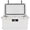 White, variant on CQSXDA 20Qt Ultra-Tough Hard Shell Ice Chest, Compact Cooler Keeps Ice 5 Days, Portable for Outdoor, Work, Beach, Boating, Tailgate