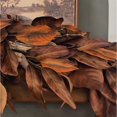 thumbnail image 4 of 2025 NEW Brown Magnolia Fall Garland 6Ft Artificial Garland with Pinecones, Indoor Outdoor Fall Decor for Home, Autumn Mantel Garland, Thanksgiving Decorations & More(1PCS), 4 of 9