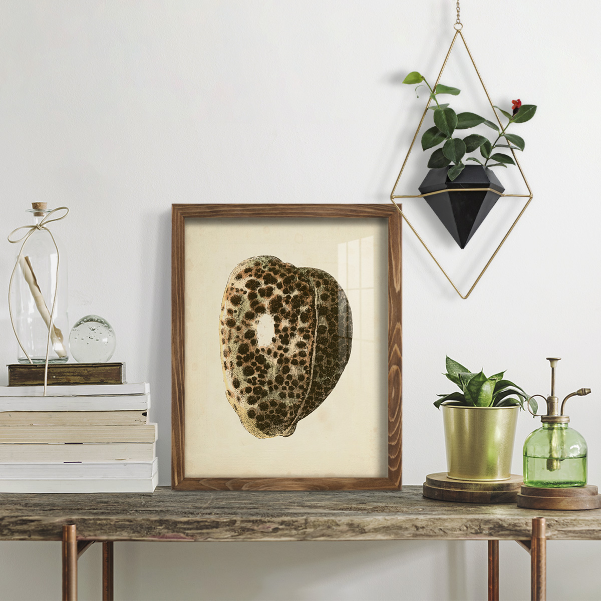 Sealife Collection III - Framed Print w/glass - Walnut