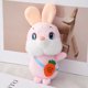 thumbnail image 1 of 2023 New Year Symbol Cartoon Rabbit Plush Toy Creative Year of The Rabbit Mascot Children Toy Kawaii Plush Doll KeychainE He Qiyong unisex, 1 of 1