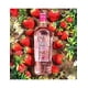 thumbnail image 2 of Pack de 2 Ginebra Larios Rose 700 ml Larios Rose, 2 of 2