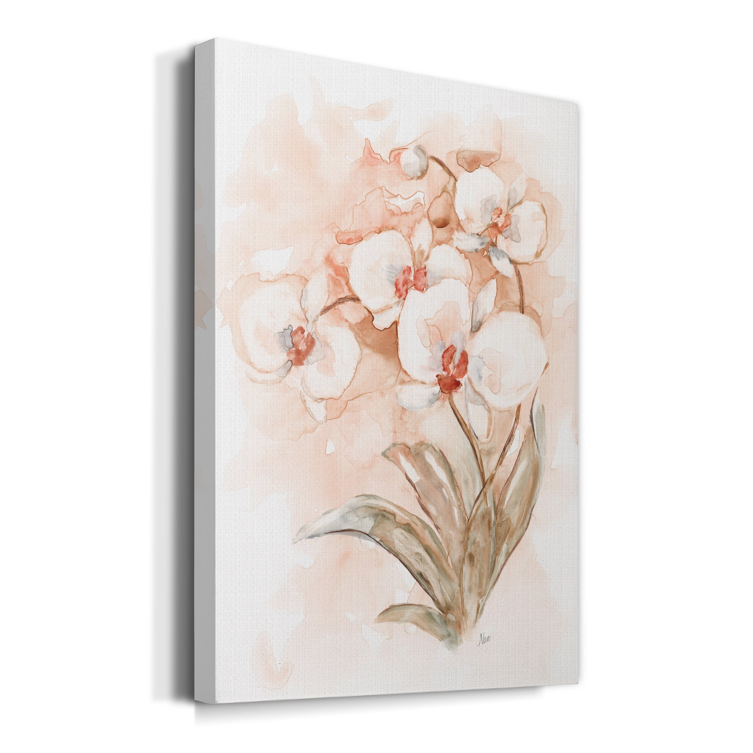 White and Coral Orchid II Premium Gallery Wrapped Canvas - Ready to Hang - 24 x 36