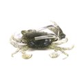 thumbnail image 1 of Billuyoard cangrejos silicona cebo anzuelo mar artificial pesca señuelo falso señuelos cabeza al aire libre para agua dulce 8 cm 19 g / verde Type1 NO1, 1 of 6