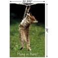 thumbnail image 3 of Célèbre chaton accroché là-bas Poster, 3 of 5