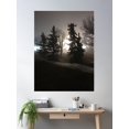 thumbnail image 2 of Trees In The Fog Poster Wall Art, Modern Wall Decor, 12x18 UNFRAMED, 2 of 2