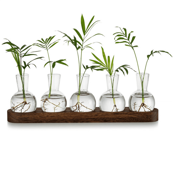 2025 New! Plant Terrarium Propagation Station, Glass Planter Bulb Vase with Wooden Tray, Modern Bud Vases for Living Room Office