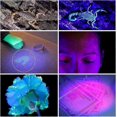 thumbnail image 3 of UV Blacklight Flashlight with 100 LED Blacklight Pet Urine Detector, 3 of 4