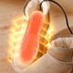 thumbnail image 5 of Secador De Zapatos Secadora Pie eléctrico Calcetines UV Guantes para dormitorio doméstico (EE. UU.) Blanco Likrtyny  Para estrenar, 5 of 6