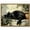 Cat, variant on Drsoum Floating Floral Shower Wall Art Vintage Botanical Flower Canvas Print Romantic Garden Roses and Waterfall Painting Nature Inspired Bathroom Living Room 8x10in Brown Framed