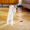 thumbnail image 5 of Funny Cat Scratcher Ball, Sisal, Wear Resistant, Furniture Protection, Interactive /Pet Supplies/ Rolling Ball Toys, for Grind Claw, 5 of 9