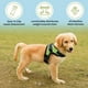 thumbnail image 5 of Arnés para perros Copatchy, no tira, reflectante, ajustable, color verde S, 5 of 6