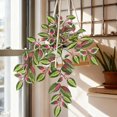 thumbnail image 2 of KOYPTL Artificial Plants with Pot Indoor Fake Potted Silk Plants Faux Watermelon Peperomia Draping Plant for Home Office Bathroom Shelf Cabinet Tabletop Decoration All Season Decorations, 2 of 7