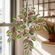 thumbnail image 1 of Artificial Green Plants Simulation Potted Home Office Hotel Decoration Green Plants Home Decoration Artificial Plants, 1 of 6