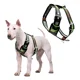 thumbnail image 1 of Pechera Para Perro Boxer Husky Labrador O Similar Talla #5, 1 of 4