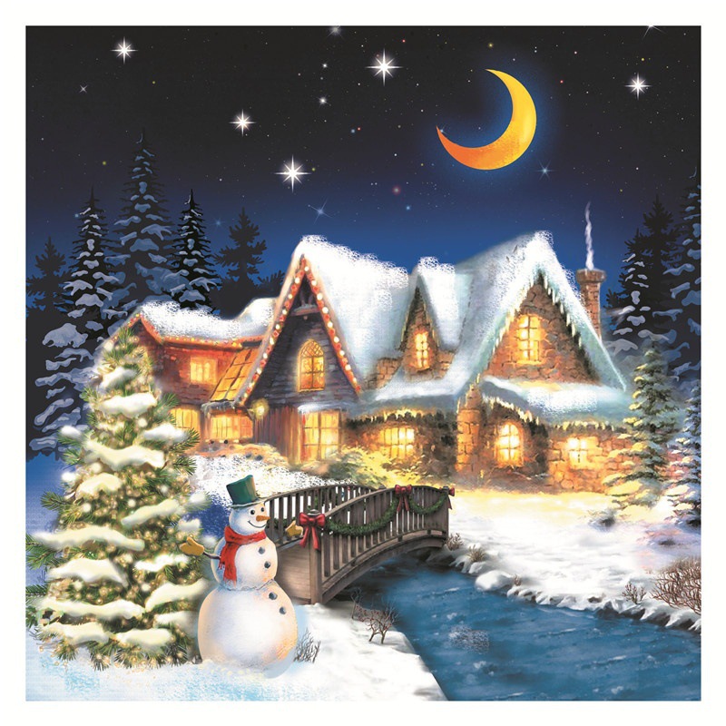 Diamond Painting Kits for Adults, DIY 5D Diamond Painting Paint Christmas by Number with Gem Art