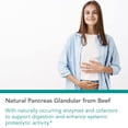 thumbnail image 3 of NutriCology Pancreas Natural Glandular - Supports Healthy Pancreas, Immune & Digestive Activity - 425 mg per Serving - Freeze Dried Tissue from Pork - 720 Servings - 720 Capsules, 3 of 6