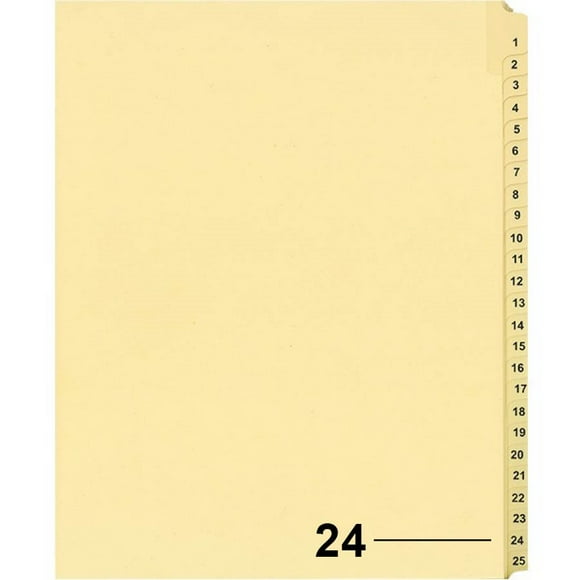 Davisgroup B1125-24 Diviseur d'Indices Numériques Individuels de Litiges 24 - 1 Unité