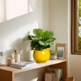 thumbnail image 6 of Ordivic 6 inch Yellow Self Watering Ceramic Plant Pot with Inner Pot,Round African Violet Planter for Mini Orchid, Spider Plant,Kitchen Windowsill,Office Decor, 6 of 7
