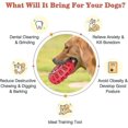 thumbnail image 2 of Juguetes duraderos para masticar perros, Heilwiy, goma no tóxica para limpieza de dientes, masticables, regalo para perros, 2 of 5