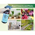 thumbnail image 3 of Spray para plantas Kate's Garden, insecticida y hongos, 480 ml, 3 of 9