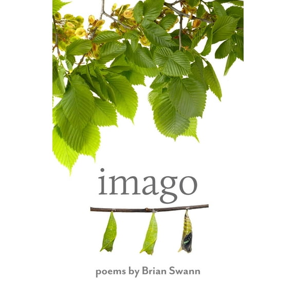 Johns Hopkins: Poetry and Fiction Imago, (Paperback)