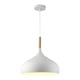 thumbnail image 1 of Lámpara colgante de Metal, pantalla de lámpara, cubierta de luz de techo, cubierta para luz de techo para decoración del hogar y casa de Blanco, 1 of 9