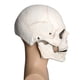 thumbnail image 5 of Máscara mandíbula móvil Horror Casco de látex Scary Creepy Headgear Casco de esqueleto para Halloween Masquerade Carnival Blanco Sunnimix tocado de calavera, 5 of 7