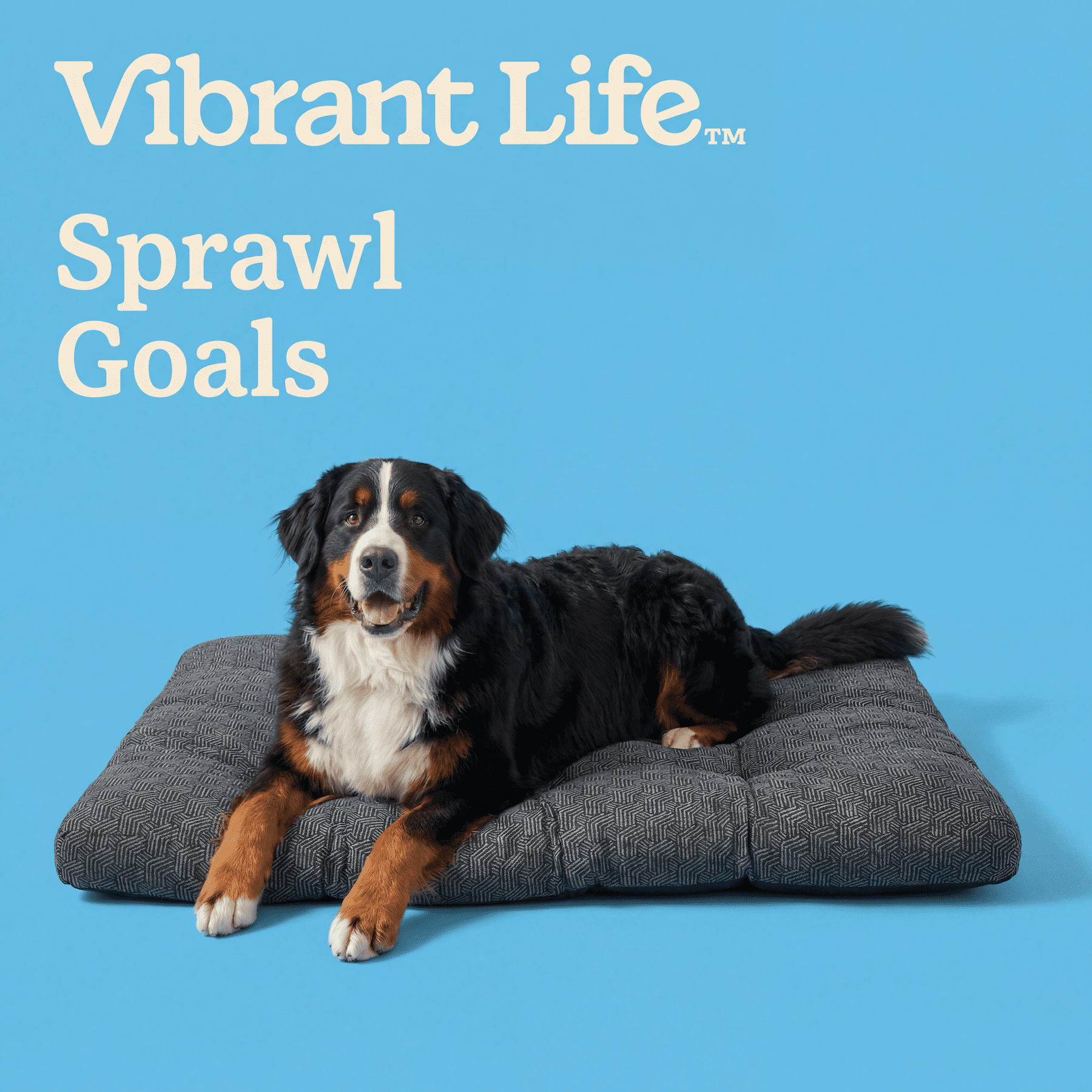 Vibrant Life Extra Large Ultra Soft Tufted Pet Bed, Gray, 38" x 48"
