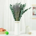 thumbnail image 5 of 15 Pcs Dried Preserved Eucalyptus Stems & Lavender Flowers Bundles for Shower, 17In Eucalyptus Leav, 5 of 5