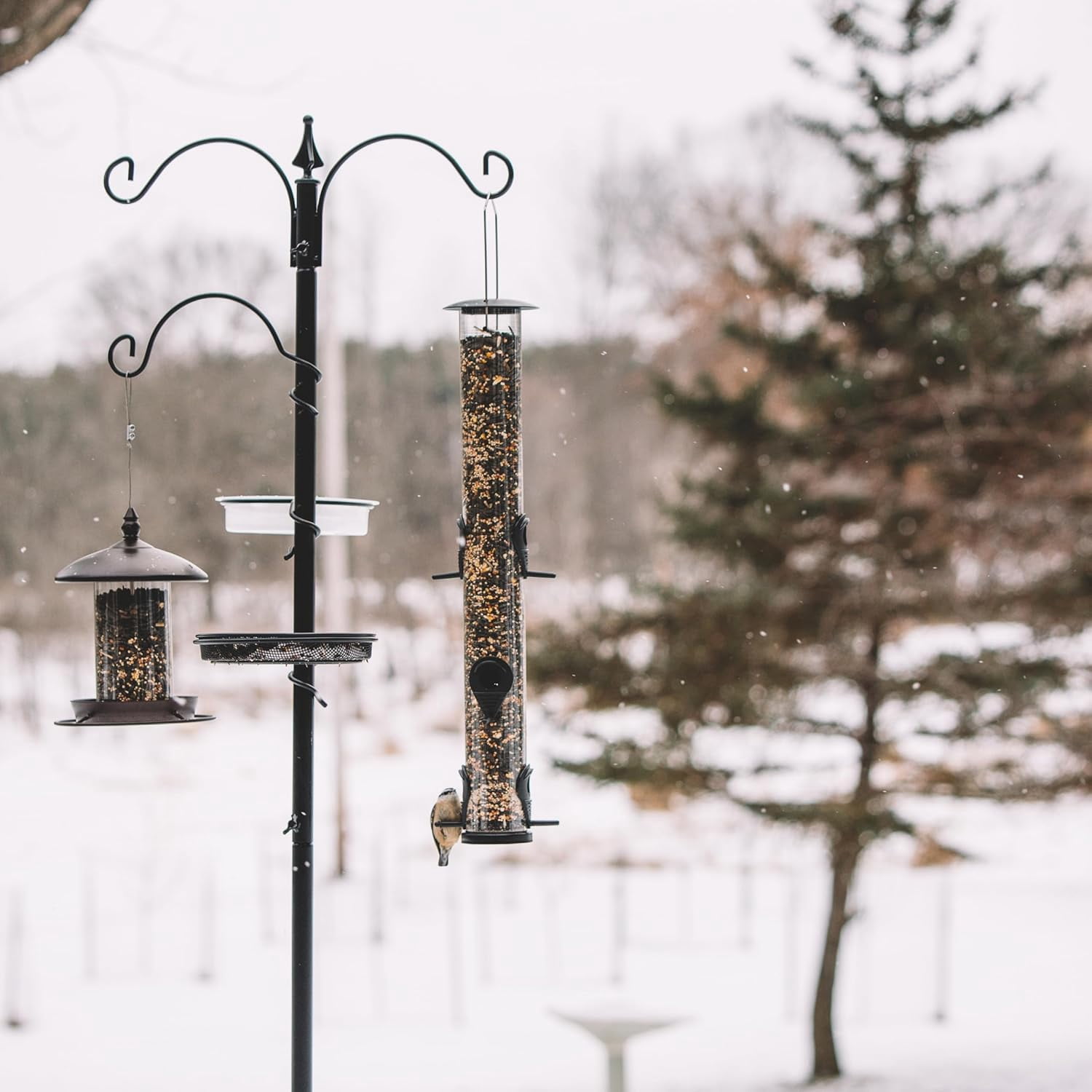 Backyard Expressions Bird Feeding Station Kit - 75" Bird Feeder Pole with 5 Prong Base and Stand for Outdoors - Black
