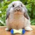 thumbnail image 2 of 2pcs Rabbit Treat Ball Interactive Rabbit Food Dispensing Toys Slow Feeder for Rabbits Guinea Pigs, 2 of 9