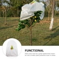 thumbnail image 2 of Freeze Covers for outside Plants Cold Protection Tomatillo Jacket Printing Non-woven Fabric, 2 of 6