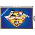 thumbnail image 3 of Animaniacs - Shield Wall Poster, 22.375" x 34", Framed, 3 of 3