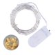 thumbnail image 1 of Cadena de lámpara Irfora 1 metro 10 LED Cadena de luces de hadas Twistable Lámpara de decoración plegable plegable IP65 Resistencia al agua para Navidad Festival de vacaciones de Navidad DIY Decoració Irfora Cadena de lámpara, 1 of 7