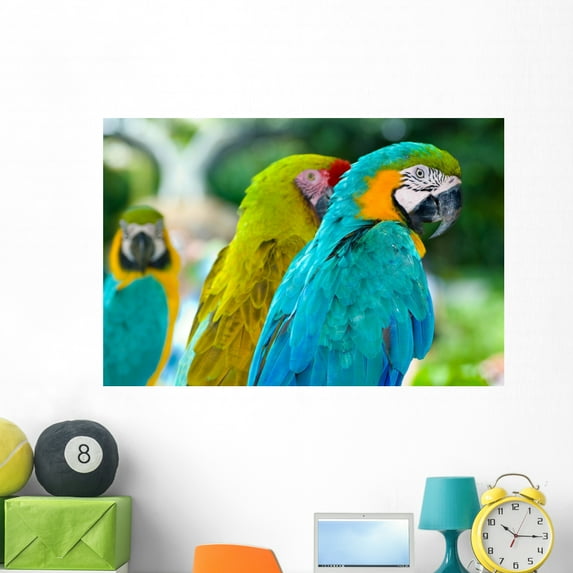 Parrots Wall Mural Decal by Wallmonkeys Vinyl Peel and Stick Graphic (48 in W x 32 in H)
