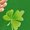 Green 002, variant on Happy St. Patrick Day Shirt for Women Casual Crew Neck 3/4 Length Sleeve T-Shirt Shamrock Graphic Pullover Tops