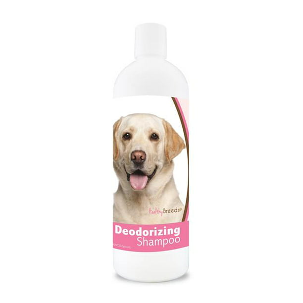 Healthy Breeds 840235109594 Shampooing Désodorisant Labrador Retriever de 16 Oz