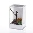 thumbnail image 6 of Transparent- Reptile Isopods Lizards Mantis- Invertebrates Feeding Box Spider Breeding Tanks Household, 6 of 14