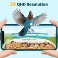 thumbnail image 3 of Comedero para pájaros Birdsnap TUC 2K HD, cámara solar AI de 32 GB, 3 of 9